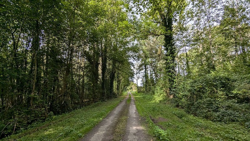 Route du circuit de Cerny III