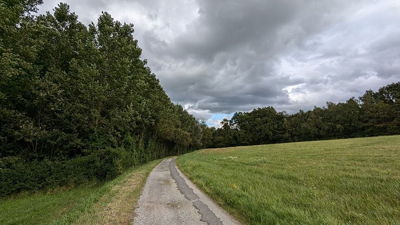 Route du circuit de Cerny IV