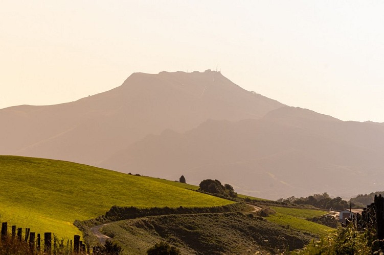 Souraide-09-2024-carolephotographe.com-0698-2