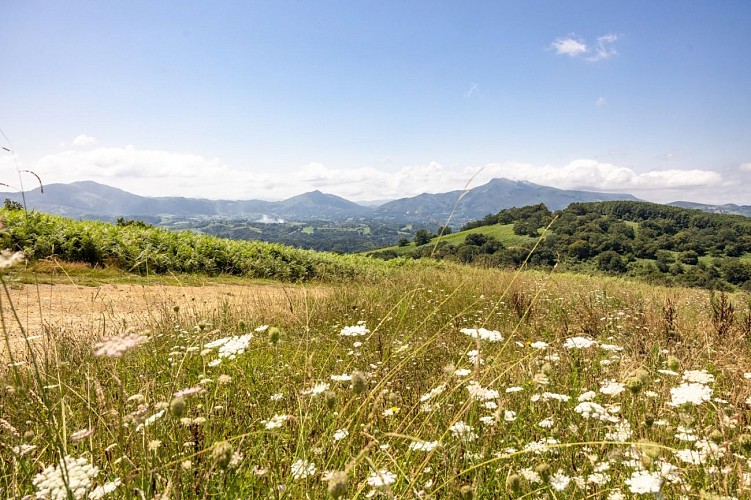 Souraide-08-2024-carolephotographe.com--0572