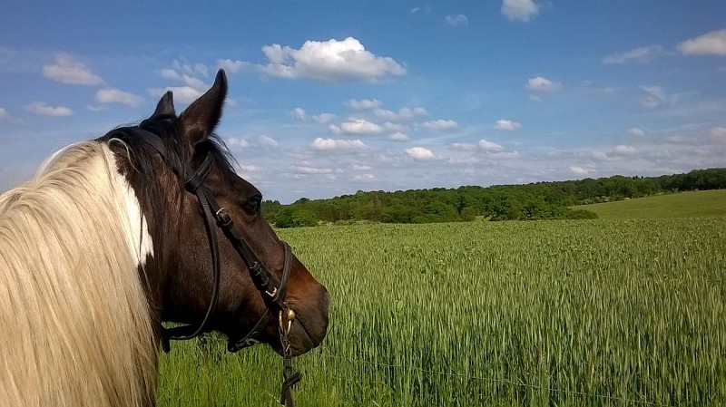 10265367_10206681355535183_660337211969020820_o