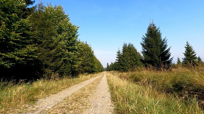 Les Hautes Fagnes en Gravel