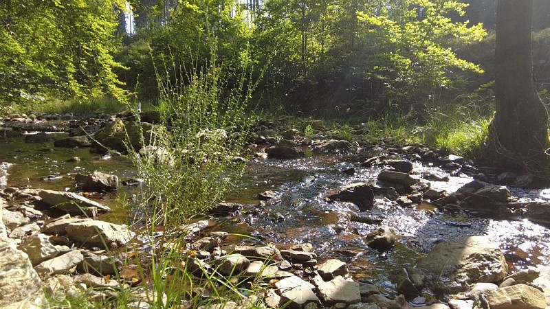 Les Hautes Fagnes en Gravel