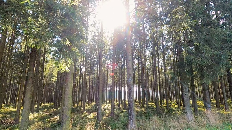 Les Hautes Fagnes en Gravel