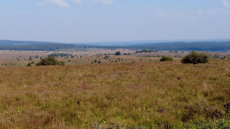 Les Hautes Fagnes en Gravel