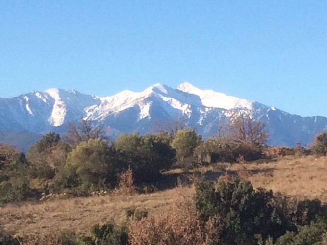 Le Canigou au printemps.
