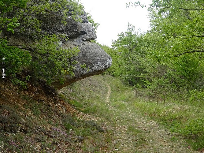 Entre bois et ravins