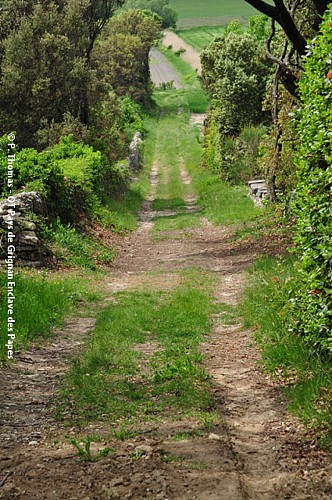 La croisée des chemins
