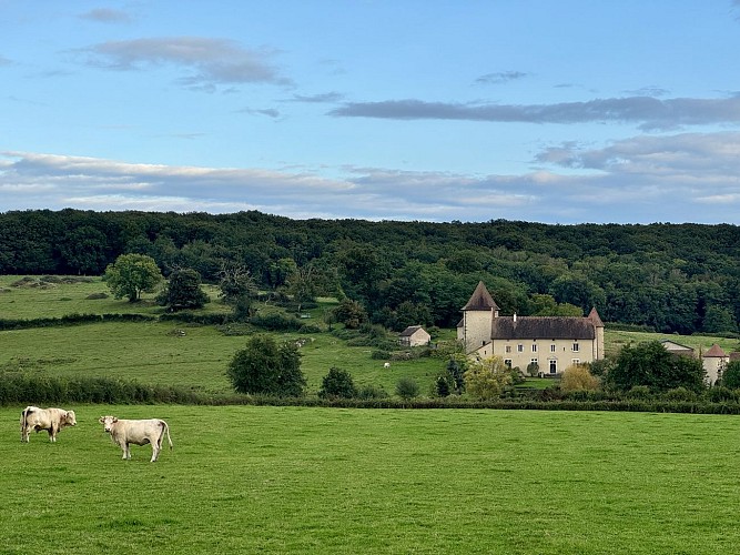 Balades Vertes, Ciry-le-Noble : château de Limand