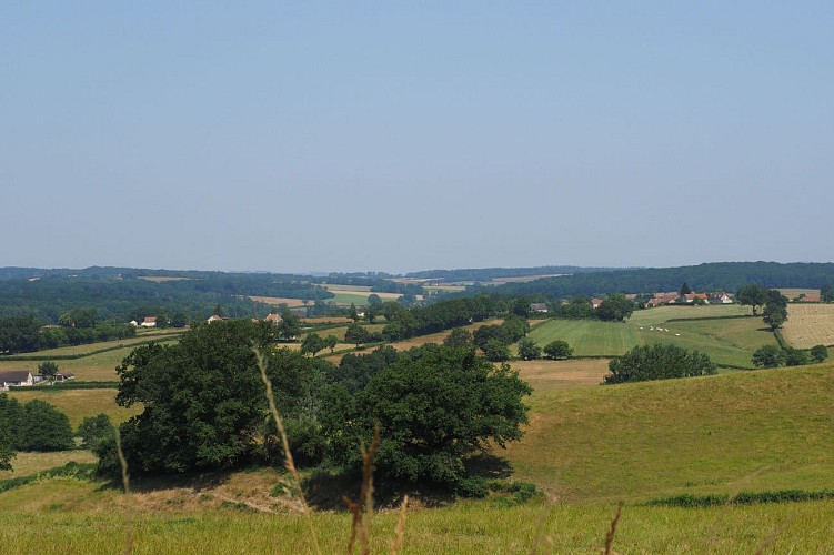 Balades Vertes, Perrecy-les-Forges : vue depuis champcroux PLF1