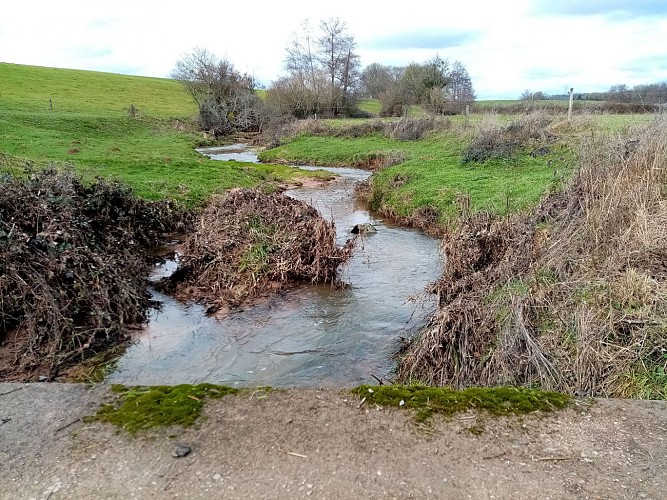 Balades Vertes, Perrecy-les-Forges : l'ordon