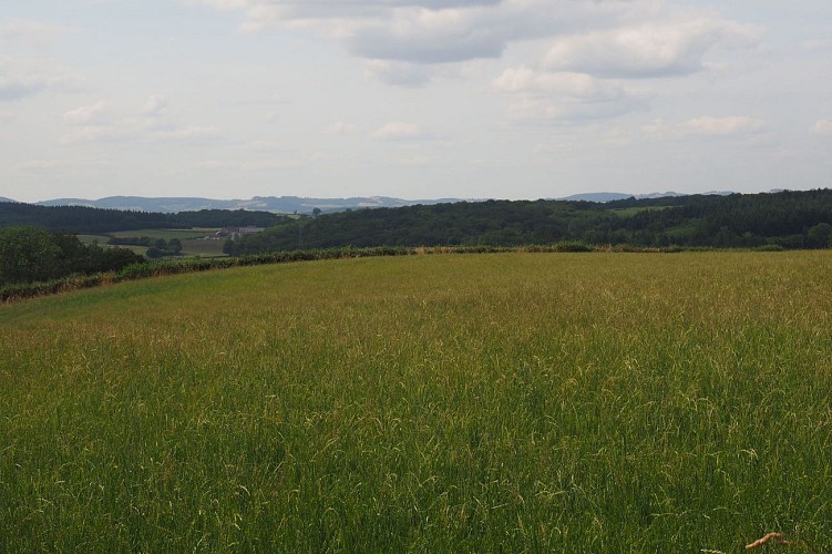 Balades Vertes, Perrecy-les-Forges : hameau de Versigny