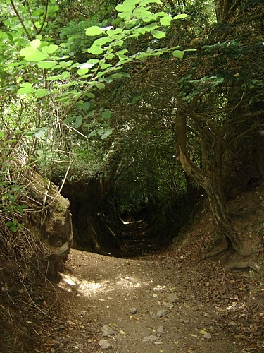 Saint Méen-Saint Trémeur à Le Saint - Circuit n°24