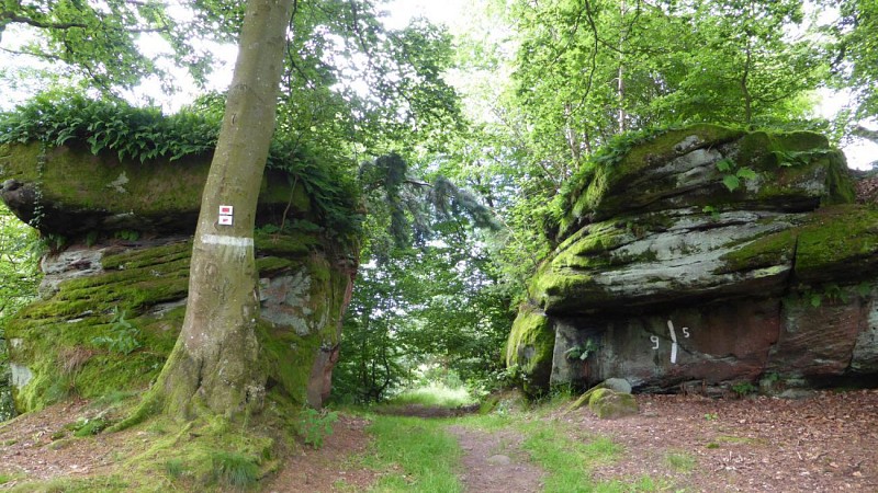 Village de vacances à La Petite Pierre (67): Sentier du facteur
