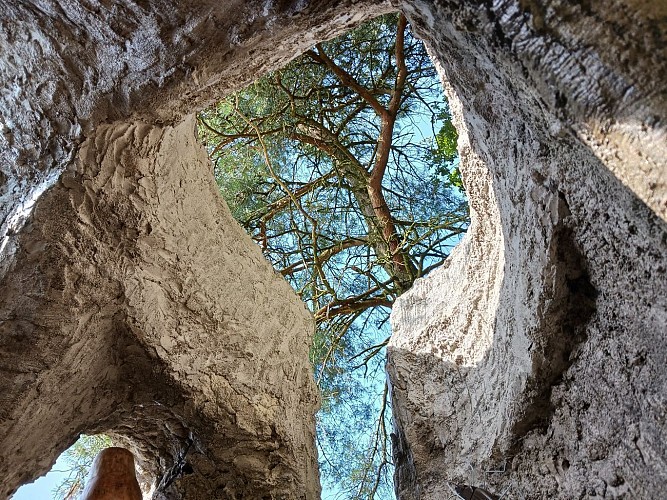 L'arbre mort en ciment - station 1