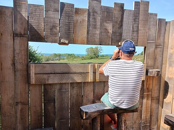 Palissade d'observation - station 9