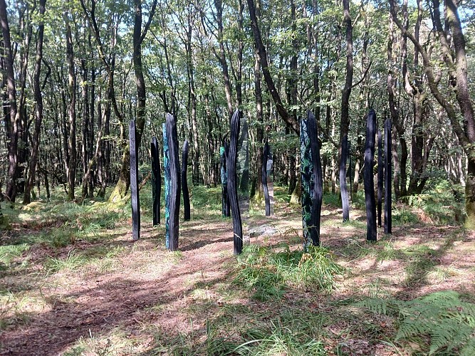 Oeuvre artistique "S'enforester" - Benoît Delomez