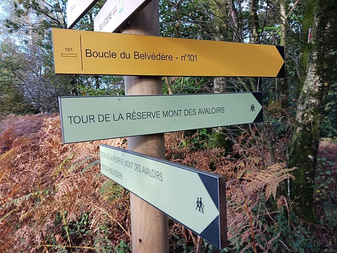 Suivre les fléches vertes