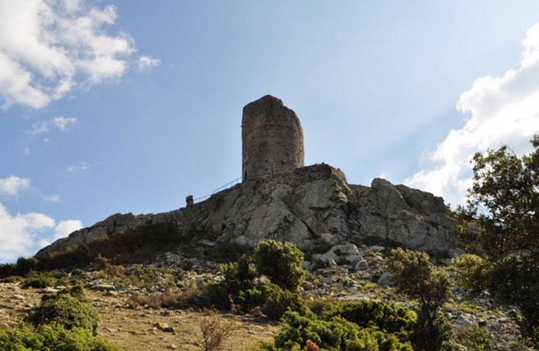 La Tour de la Massane