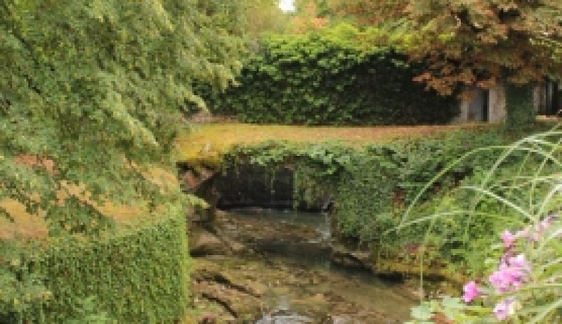 Randonnée la Pierre qui Vire 