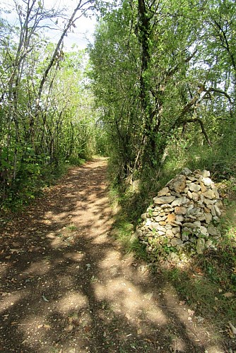 chemin