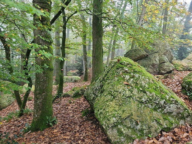 Saint-Aubin-du-Cormier : cicuit la Roche Piquée