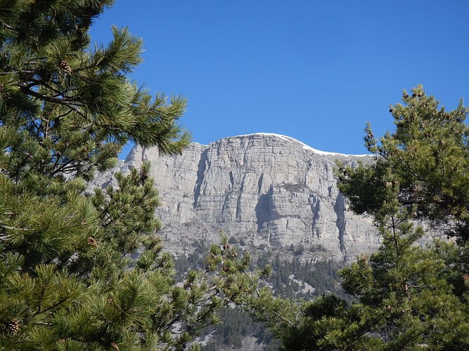 Tour de la roche des Brigands_Hautes-Duyes