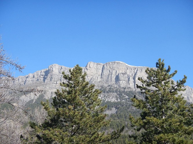 Tour de la roche des Brigands_Hautes-Duyes