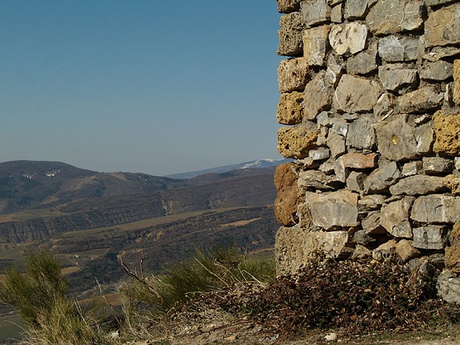 herman de vries, <i>point</i>, 2009, Collection Musée Gassendi