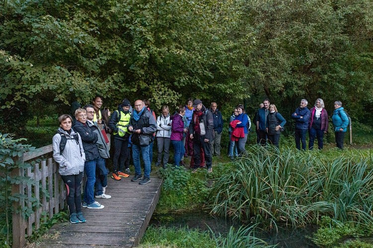 Cerny au fil de l’eau