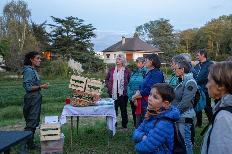Cerny au fil de l’eau