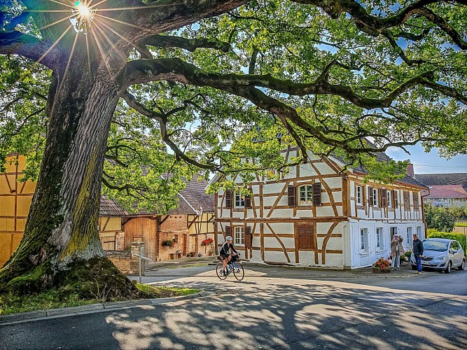 Circuit Gravel en Alsace dans le Sundgau