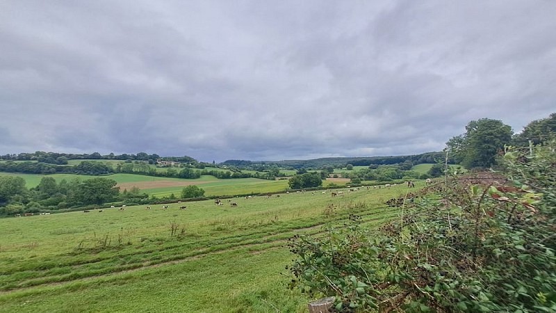 Le camp du châtelier