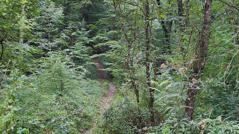 Le camp du châtelier