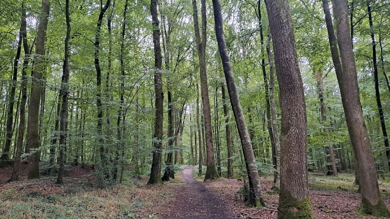 Le camp du châtelier