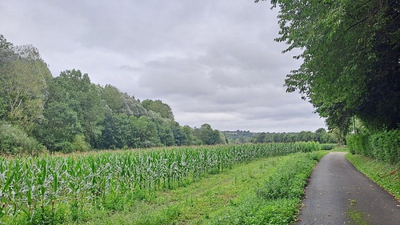 Le camp du châtelier