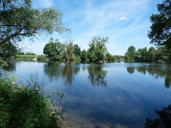 Circuit pédestre Espace naturel sensible : Tour de la Boire des Carrés