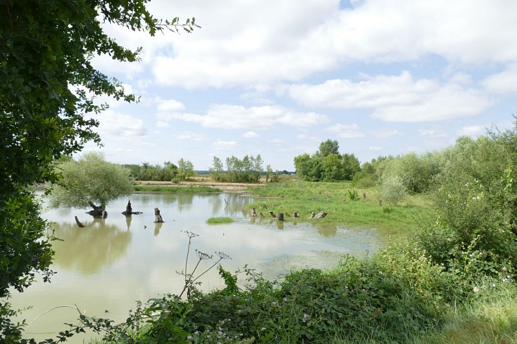 Circuit pédestre Espace naturel sensible : Tour de la Boire des Carrés