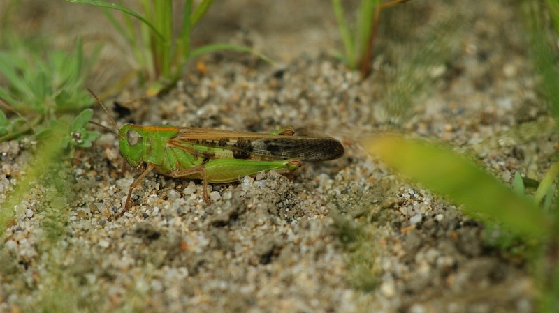ENS : Tour de la Boire des Carrés