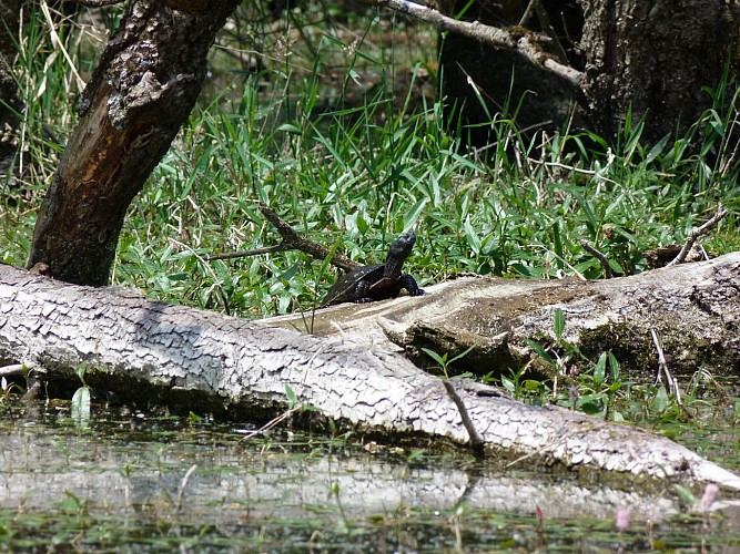 ENS : Tour de la Boire des Carrés