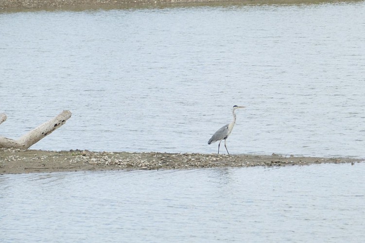 ENS : Tour de la Boire des Carrés