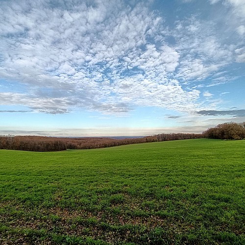 Vue sur le chemin