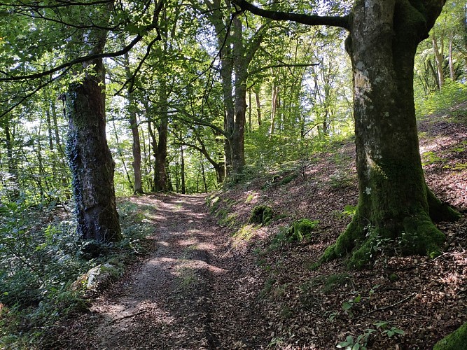 photo d'appel 5 - Aurélien CLAVREUL