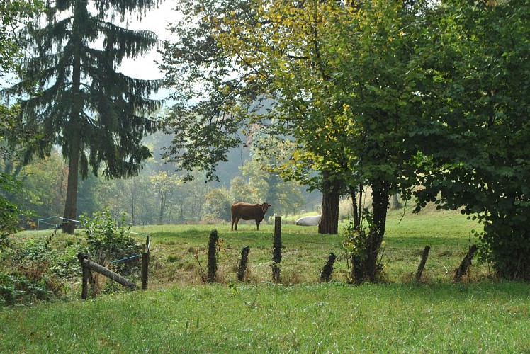 Fußwanderweg: Le Chemin des Vaches