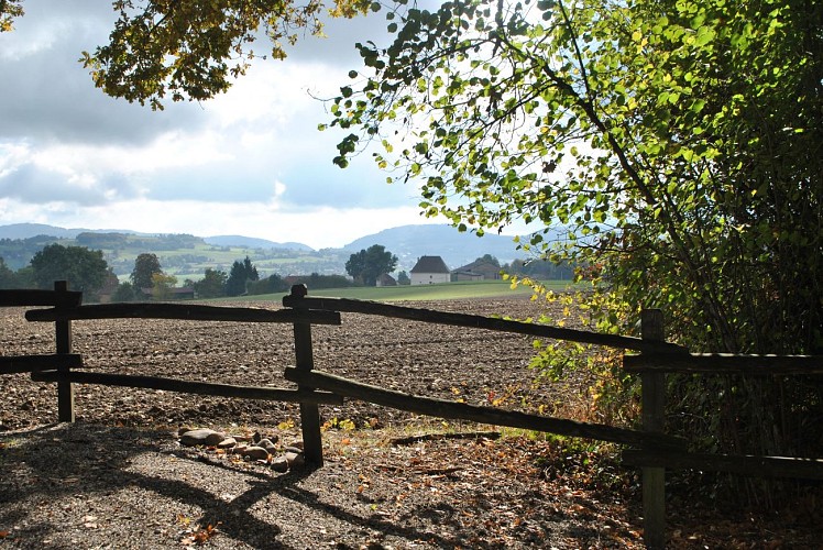 Fußwanderweg: Le Chemin des Vaches