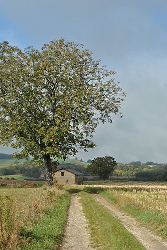 Fußwanderweg: Le Chemin des Vaches