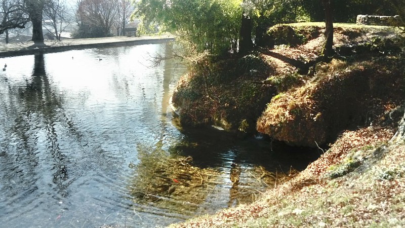 Rando de Belevederes en panoramas Tullins