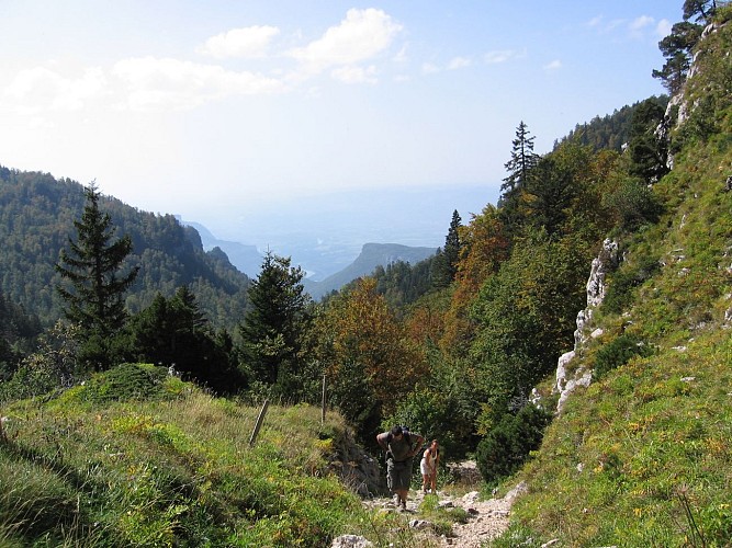 Rando pedestre Alpage Chartreuse