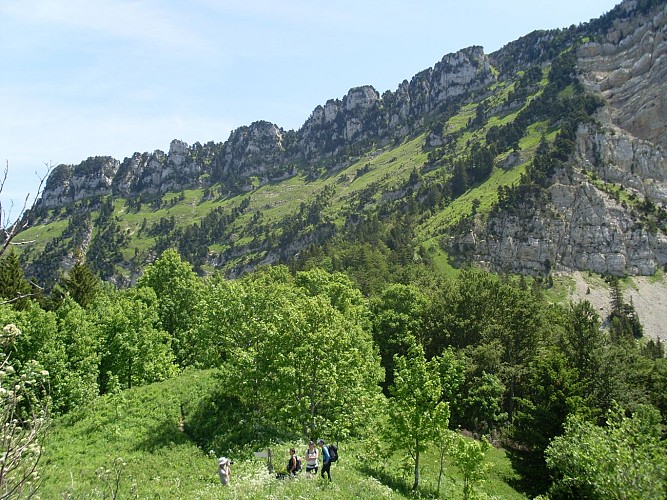 La montée à l'alpage