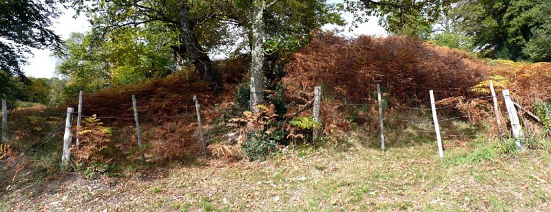 Le toit du Limousin (variante de 17km)